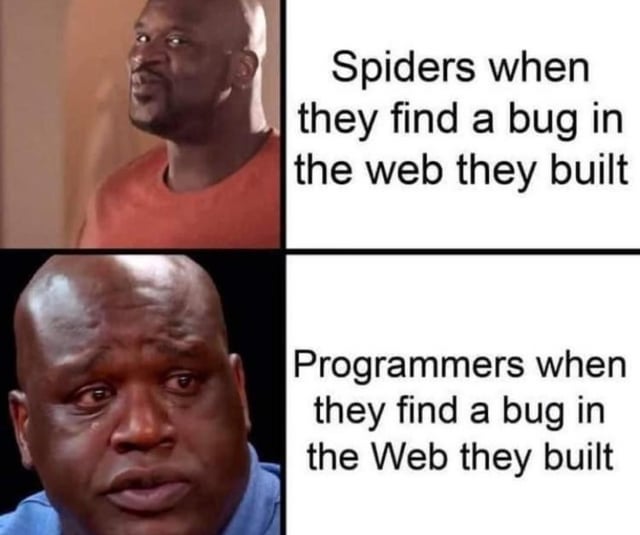 ;| spiders when M they:find a ;| spiders when M they:find a bug in the web: they: built Programmers’ when théy‘findia’ bug in the Web they: built.